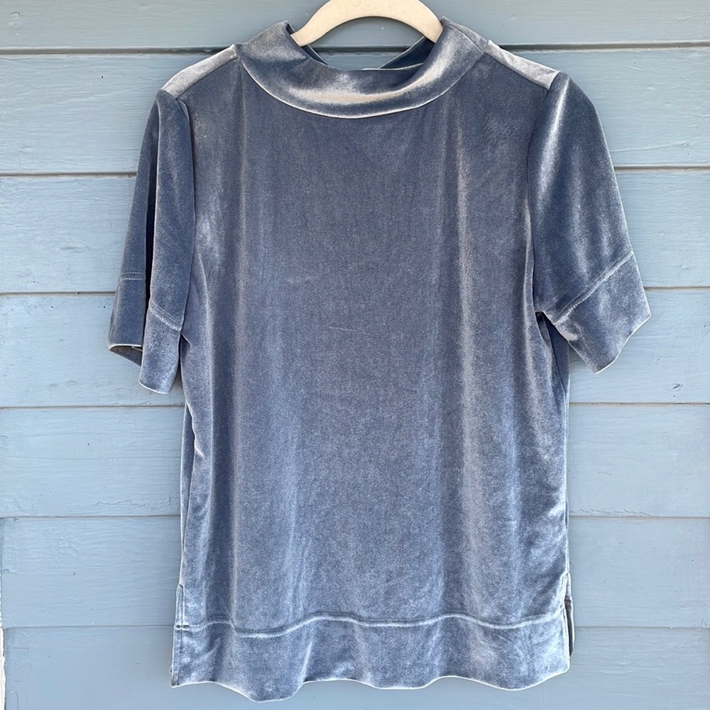 Anthropologie Blue Velour Mock Neck Top